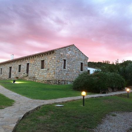 Bed and Breakfast Il Vecchio Ginepro à Arzachena Extérieur photo