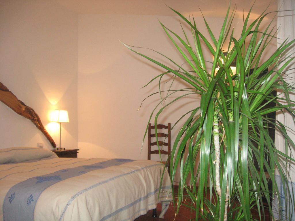 Bed and Breakfast Il Vecchio Ginepro à Arzachena Chambre photo